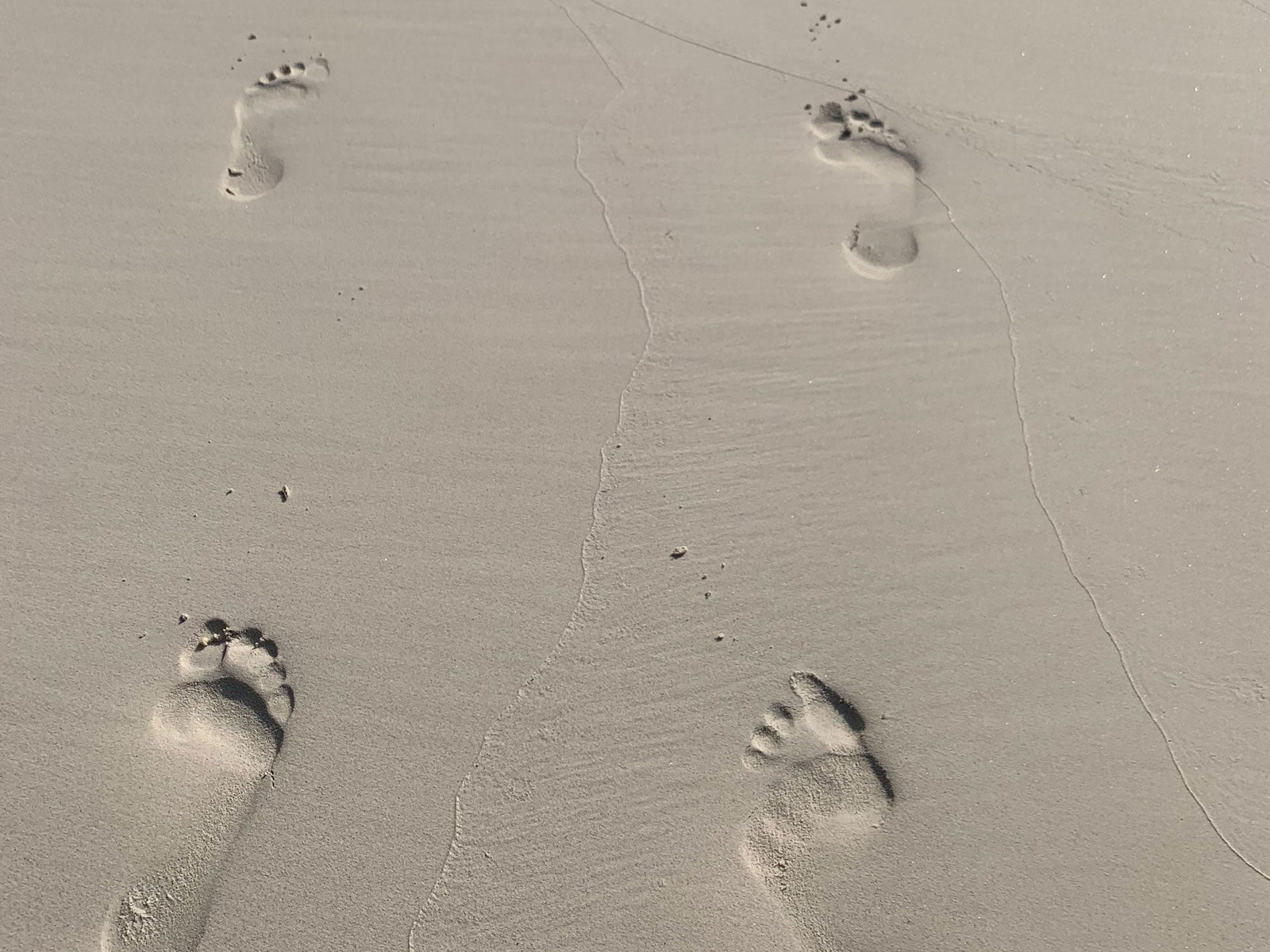 Plan your new Perfect Ninja Week