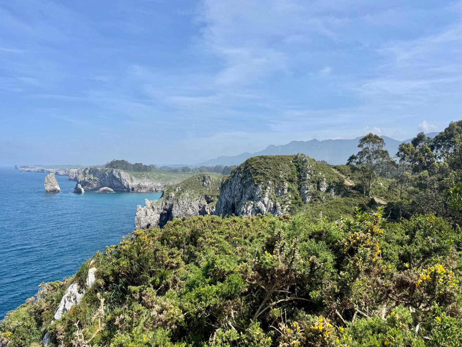 The Life List: Naming the Life You Want to Live