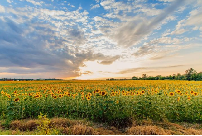 August Check-In: Two-Thirds Through the Year